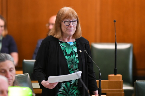 Rep. McLain speaking on the House Floor
