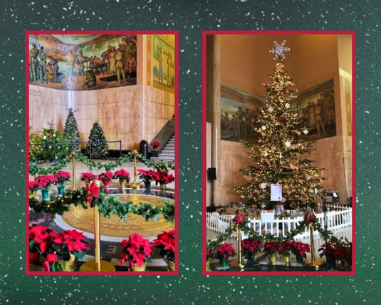 Christmas Trees at the Capitol