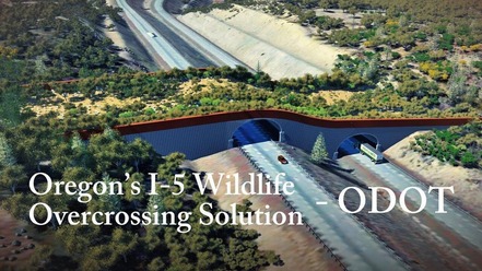 Wildlife Crossing over I-5