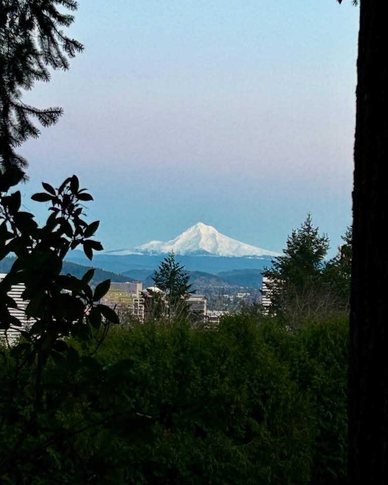 Mt Hood at Dusk