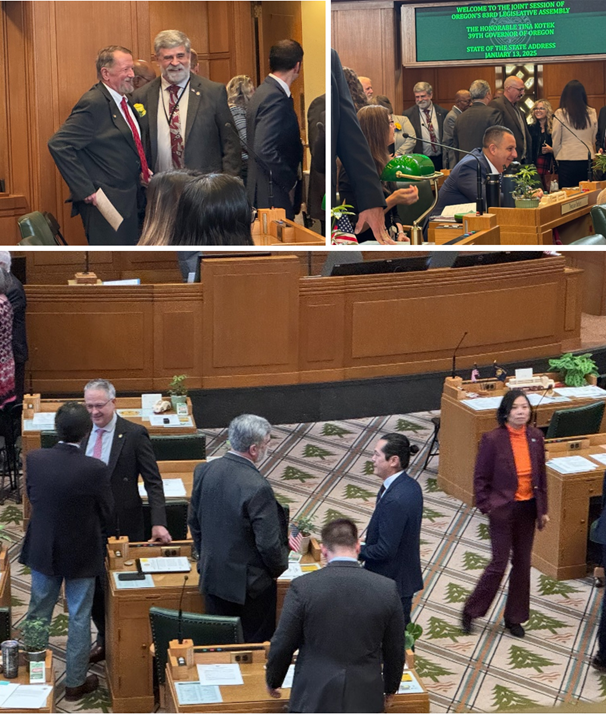 lewis House Foor collage -2