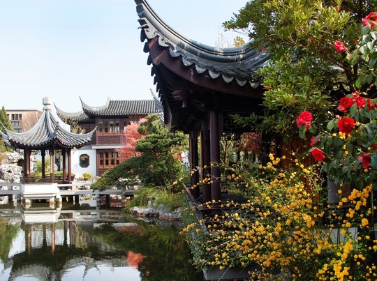 Lunar New Year Lantern Viewing Evenings