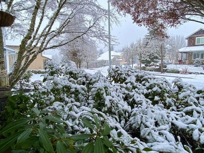 Snow in Forest Grove