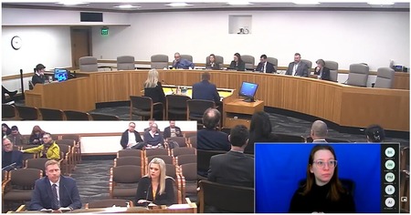 Bonham and SBD testimony in committee