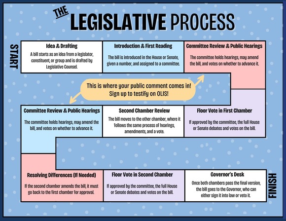 Legislative Process Overview