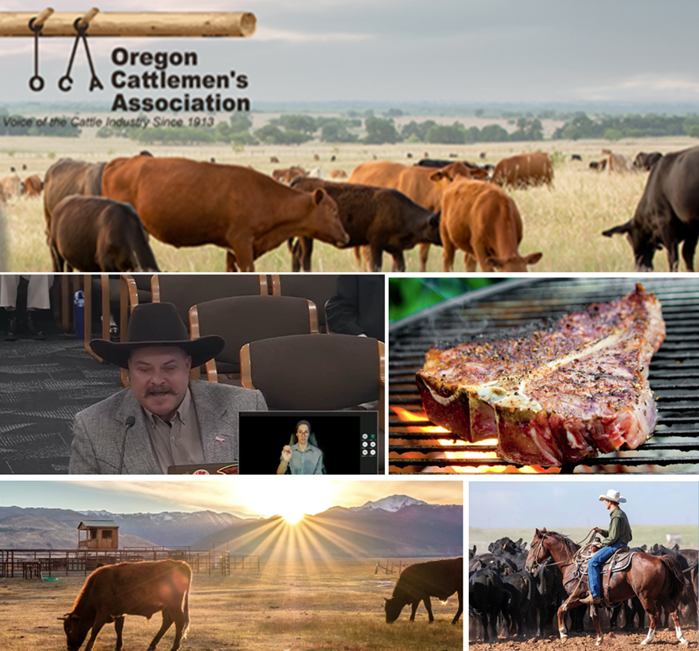 Oregon Cattleman Visit the Capitol