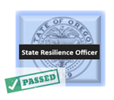 State Resilience Officer Duties