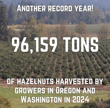 Hazelnut Record