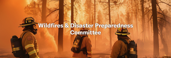 CSG Wildfire & Disaster Preparedness Committee