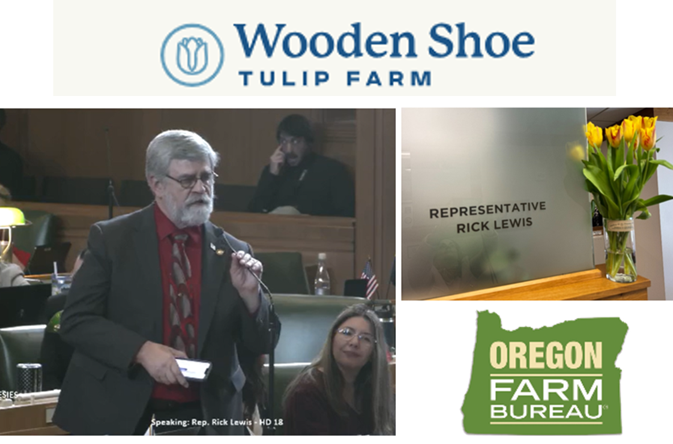 Recognizing the Wooden Shoe Tulip Farm