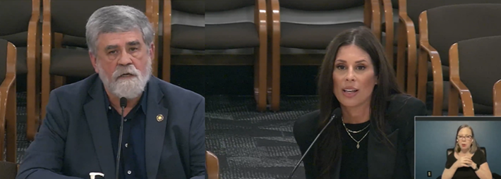 HB 3093 - Arrestee DNA Sample Lewis - Spence Testifying