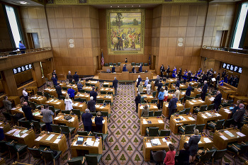 house chamber gallery view