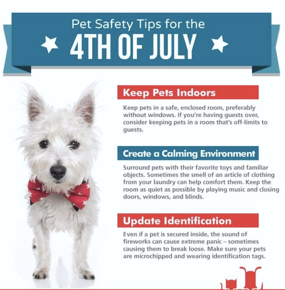 Pet safety graphic
