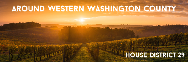 SECTION HEADER: Western WashCo