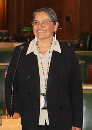 rep sanchez speaking on house floor