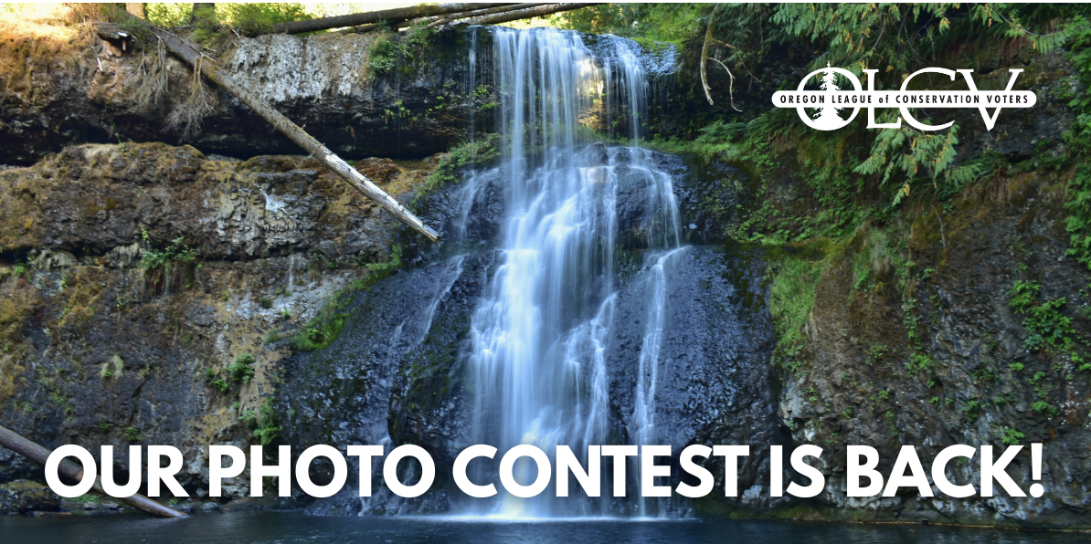 Photocontest