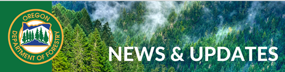 ODF News and Updates