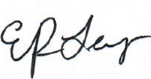 Levy Signature