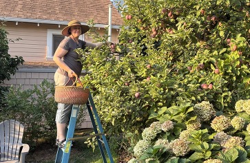 fragala in the garden