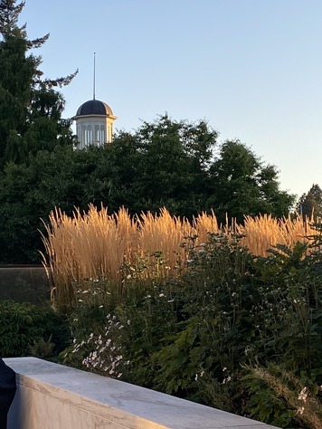 Flowers at the capitol