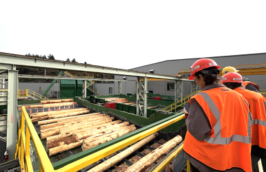 LUMBER