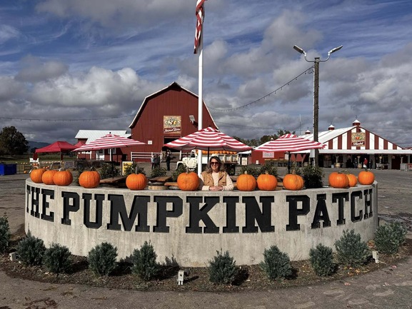 Pumpkin Patch 3
