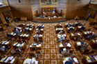 senate floor from gallery