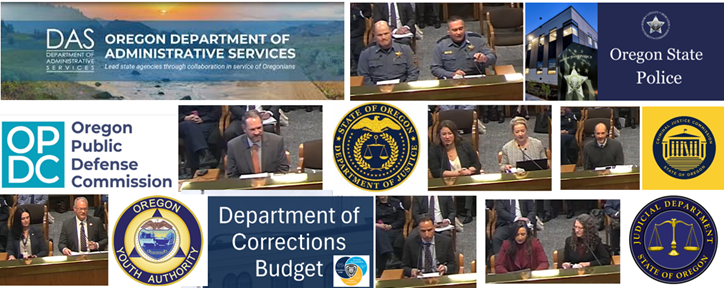 Public Safety Agency presentation photos