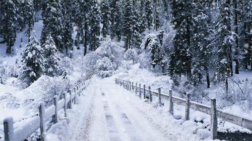 null Winter weather