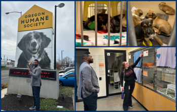 Rep Nelson with the oregon humane society sign, looking at kittens, cute kitten with a ball and a cuddle puddle of puppies
