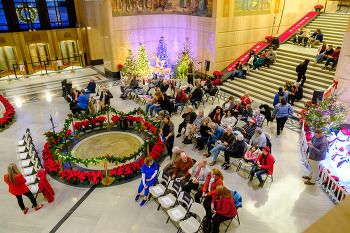 tree lighting state seal