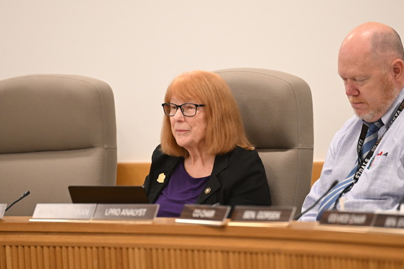 Rep McLain in committee at the dias
