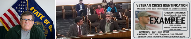 HB 4099 Rep. Lewis Testifies before HEMV-2
