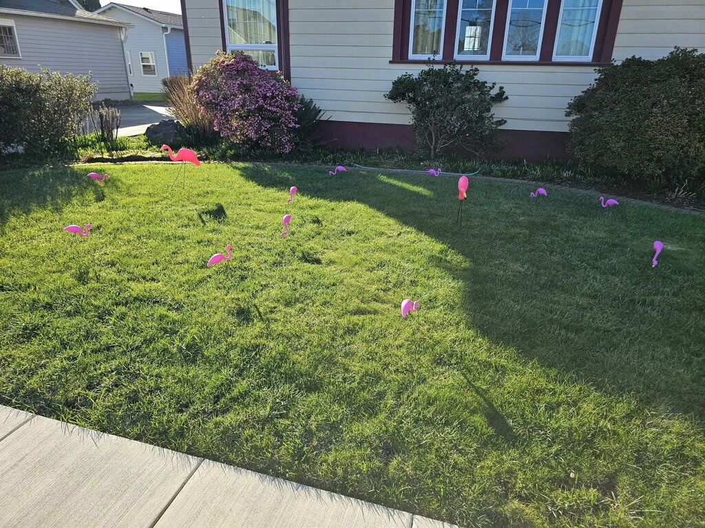 You've been flocked 