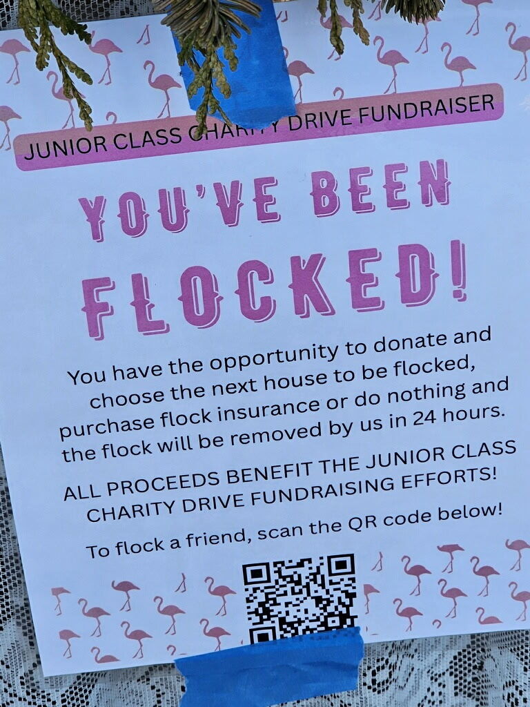 You've been flocked 2