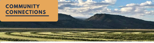 community connections