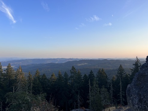 Trees and sunrise over the horizon