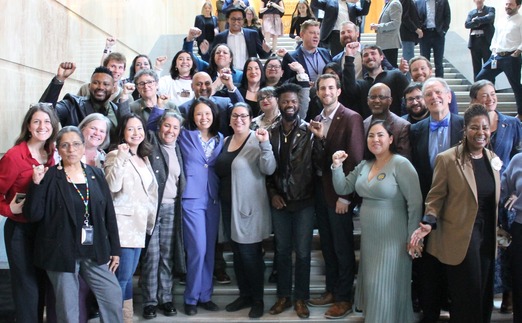 Several members and staff in a group photo on steps inside the capitol builing