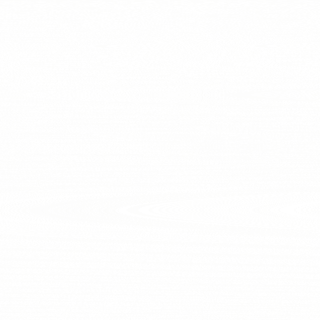 Slide deck of photos with advocates and constituents in the Capitol