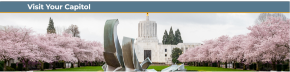 Visit Your Capitol