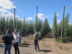 hop