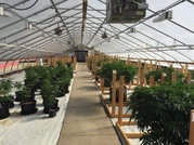 Growing facility