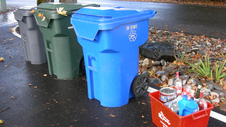 Garbage and recycling bins 