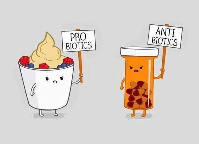 Probiotic vs Antibiotic 