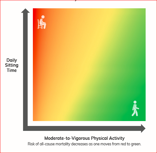 Active Living Chart