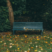 Photo of park bench