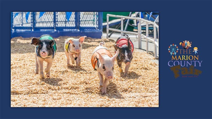Marion County Fair 2022