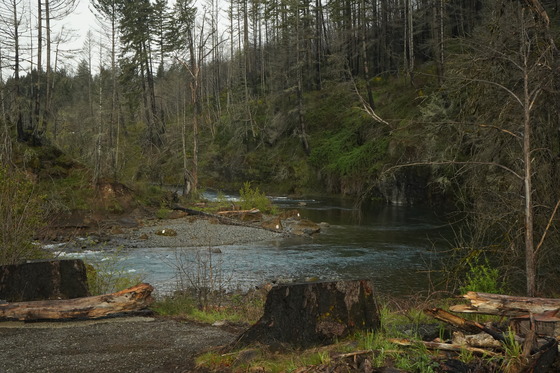 North Fork Post Fire