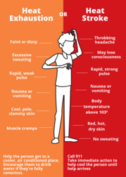 Heat Stroke or Heat Exhaustion