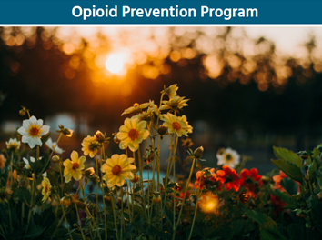 MCHHS Opioid Prevention Webpage